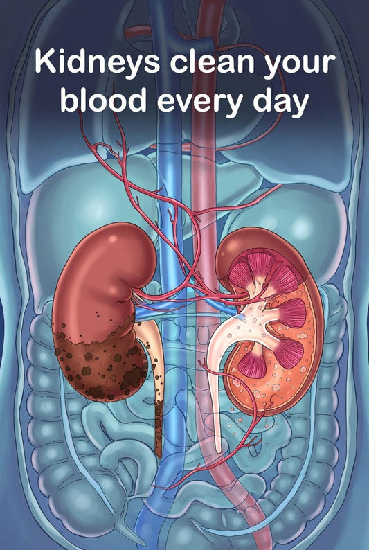 A New Way of Understanding Chronic Kidney Disease - International Kidney Health – Kidney Disease Guide & Diet Plan
